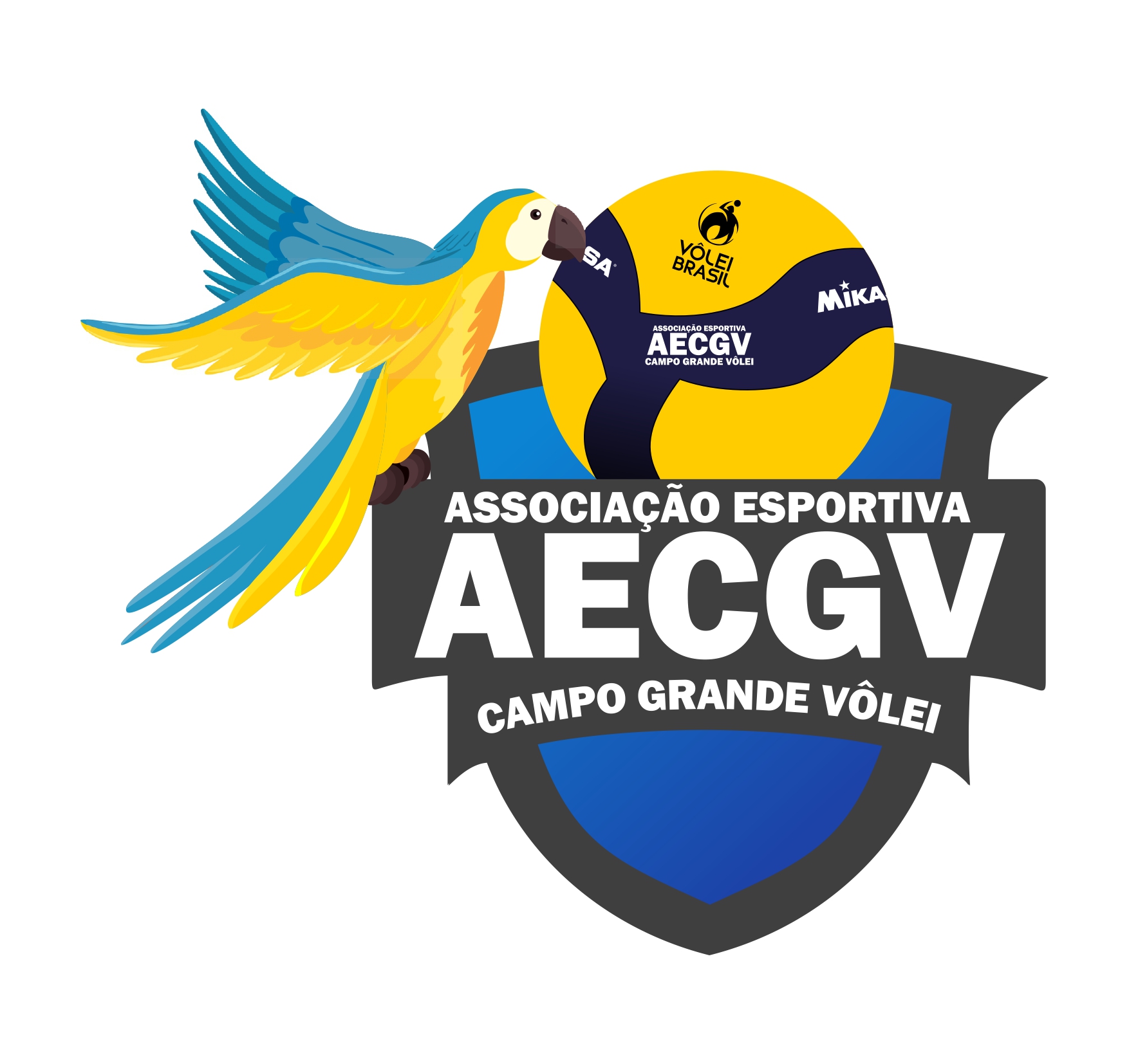 CAMPO GRANDE VOLEI